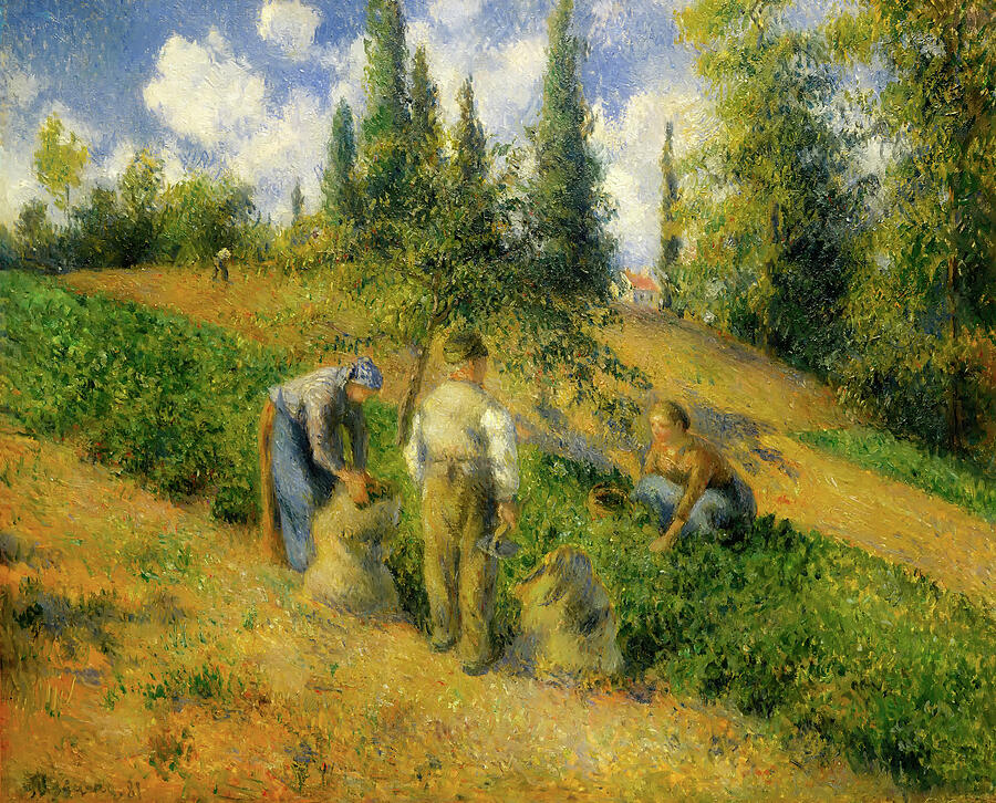 The Harvest, Pontoise, from 1881 Painting by Camille Pissarro