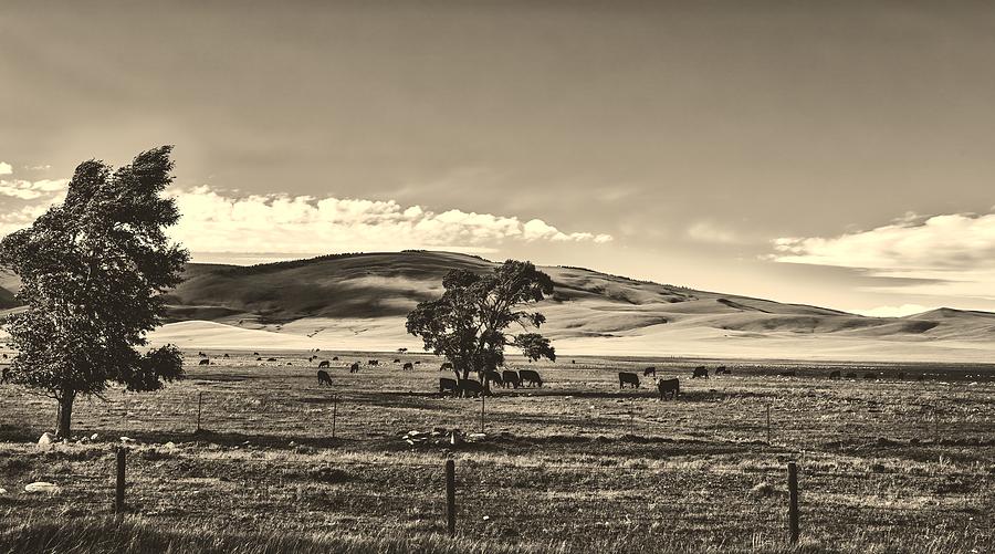 The Laramie Plain #2 Photograph by Mountain Dreams