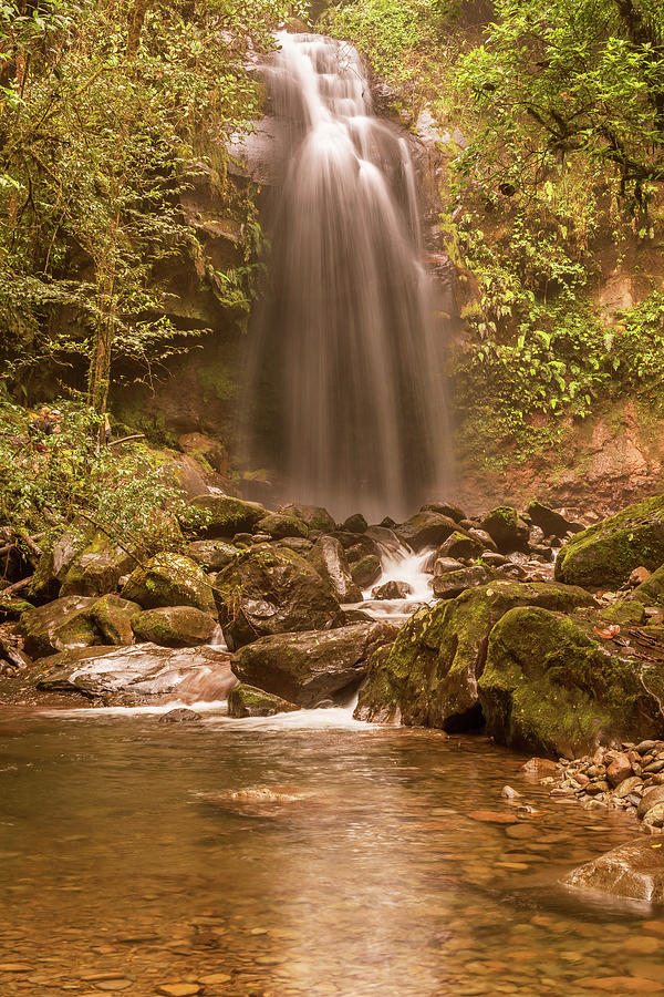 The lost waterfall trail near Boquete in Panama. Fall number thr #2 Photograph by Marek Poplawski