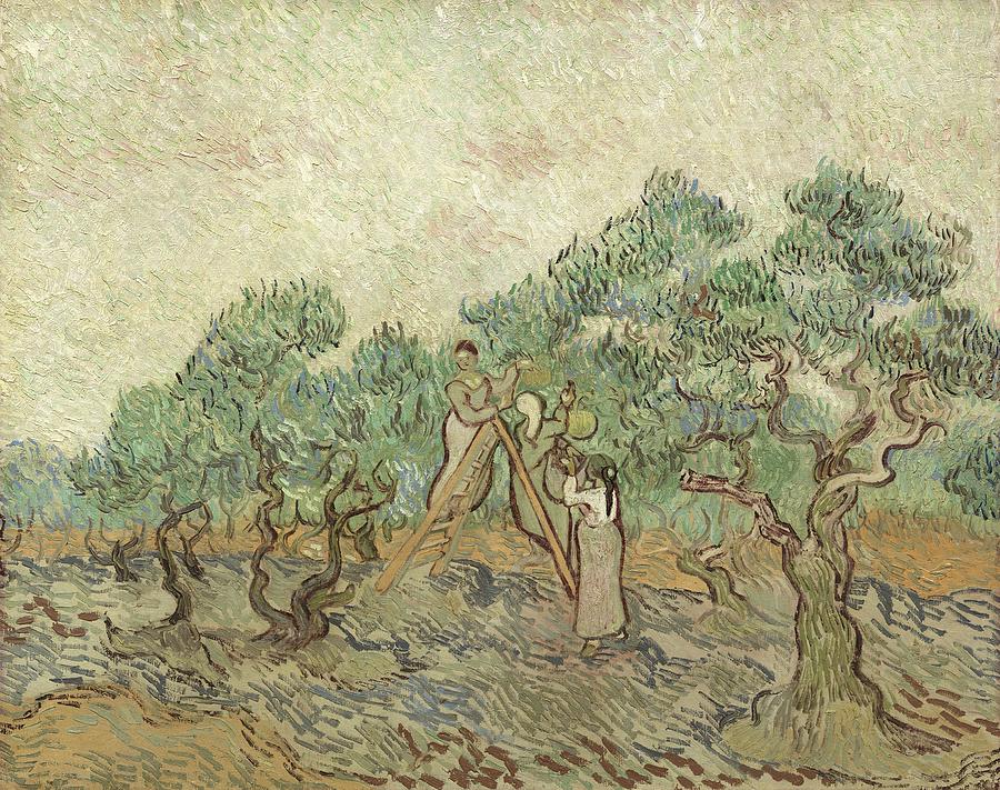 The Olive Orchard  #2 Painting by Vincent Van Gogh