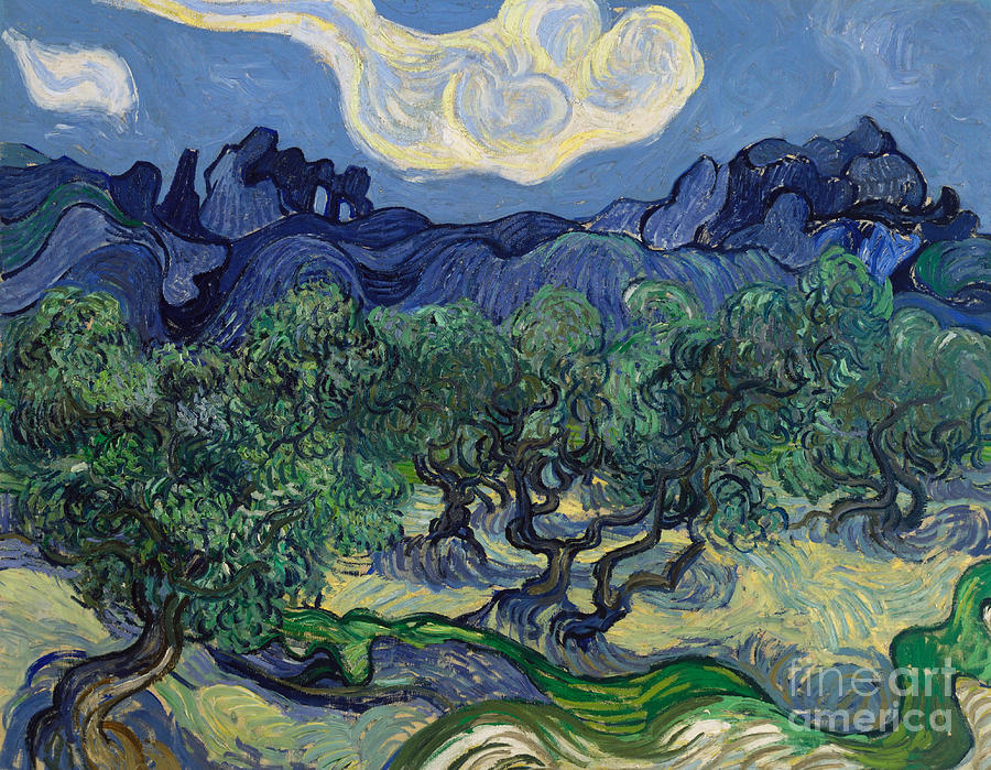 Vincent Van Gogh Painting - The Olive Trees, 1889 by Vincent Van Gogh