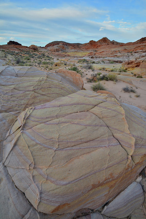 The Pastels of Valley of Fire #2 Photograph by Ray Mathis