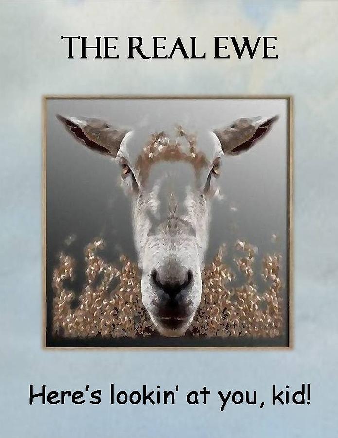 The Real Ewe #2 Mixed Media by Brenda Garacci