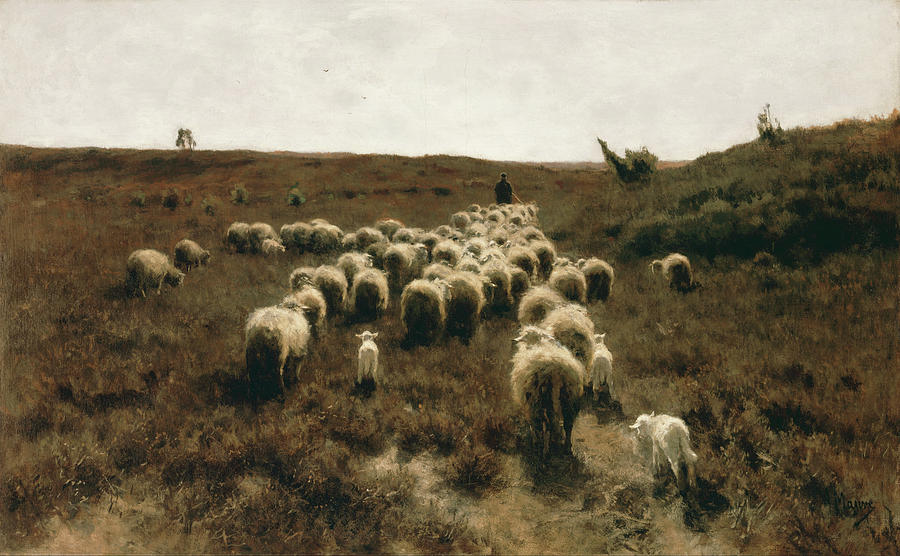 Anton Mauve Painting - The Return of the Flock, Laren #2 by Anton Mauve