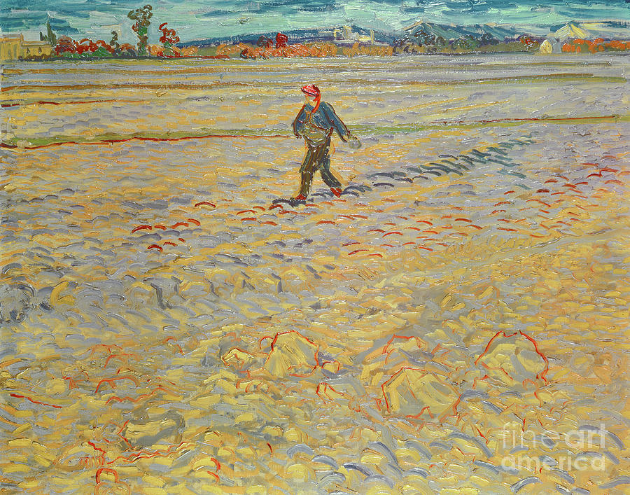 The Sower, 1888  Painting by Vincent Van Gogh