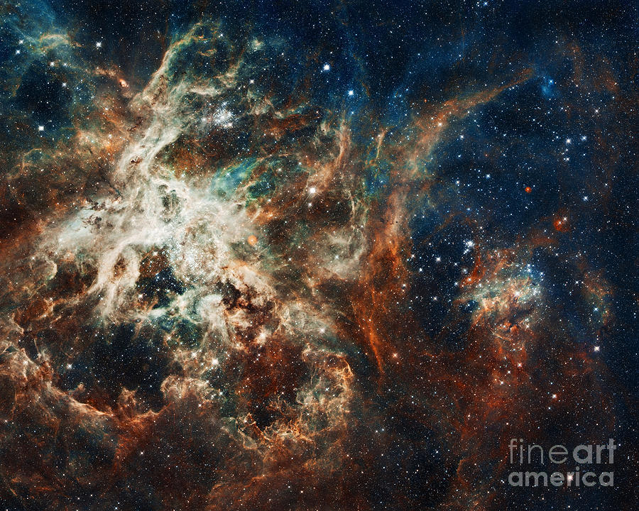 The Tarantula Nebula #2 Photograph by Nicholas Burningham