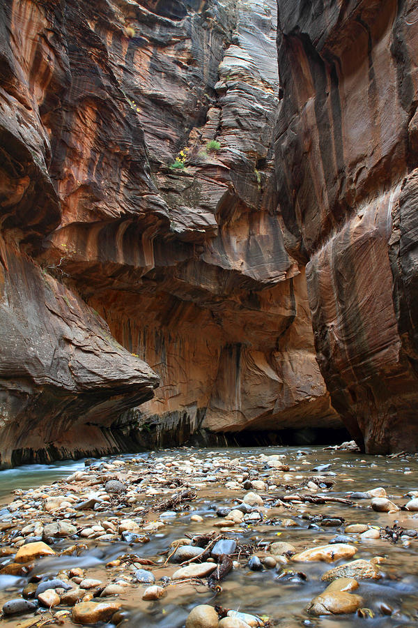 the Virgin narrows in Zion #2 Photograph by Pierre Leclerc Photography