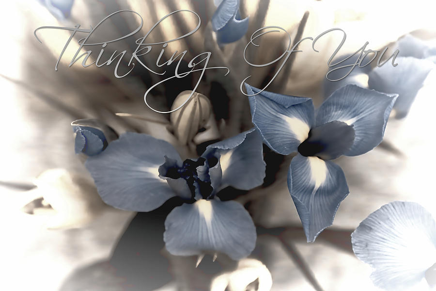 Lily Photograph - Thinking Of You  #1 by Theresa Campbell