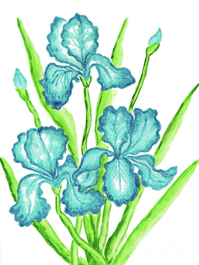 Three  blue irises #1 Painting by Irina Afonskaya