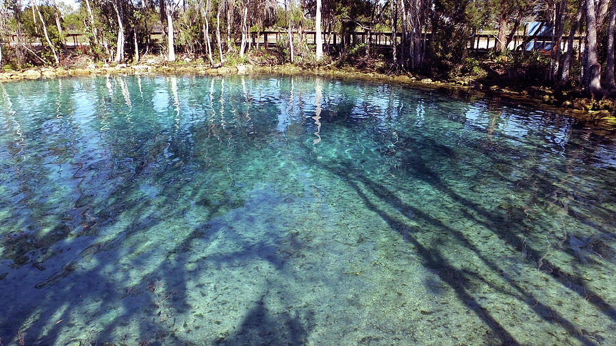 Long Afternoon Shadows in Three Sisters Springs Photograph by Judy Wanamaker