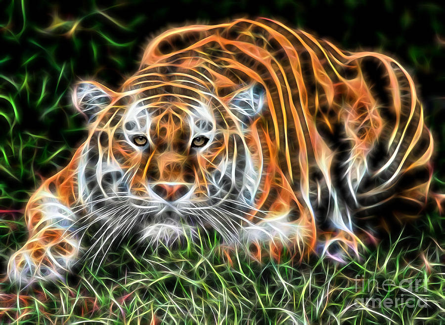 Nature Mixed Media - Tiger Collection #2 by Marvin Blaine