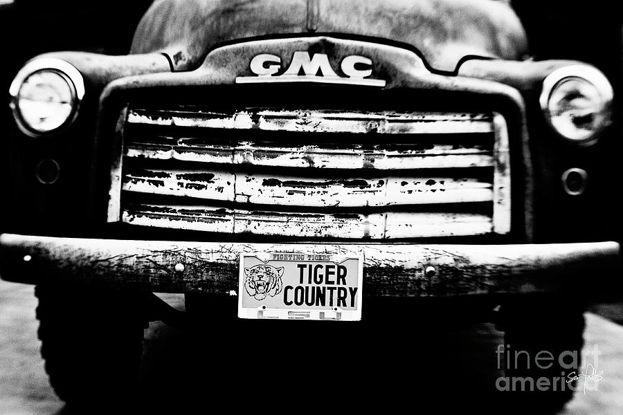 Tiger Country #1 Photograph by Scott Pellegrin