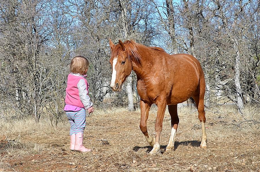 Toddler and Horse #2 Photograph by Maria Jansson
