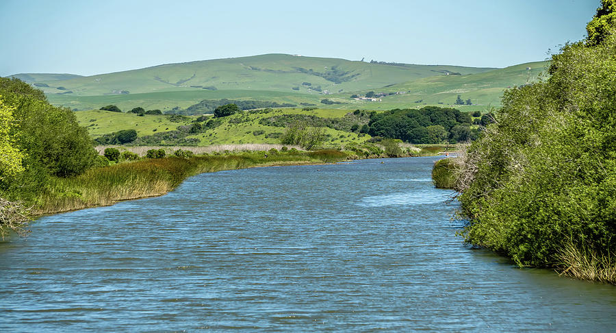 Tomales Bay In Point Reyes National Seashore Park Near San Franc #2 Photograph by Alex Grichenko