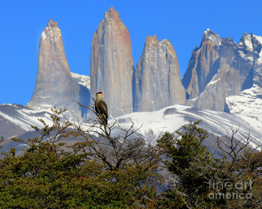 Torres del Paine National Park in Patagonia Chile #2 Photograph by Louise Heusinkveld