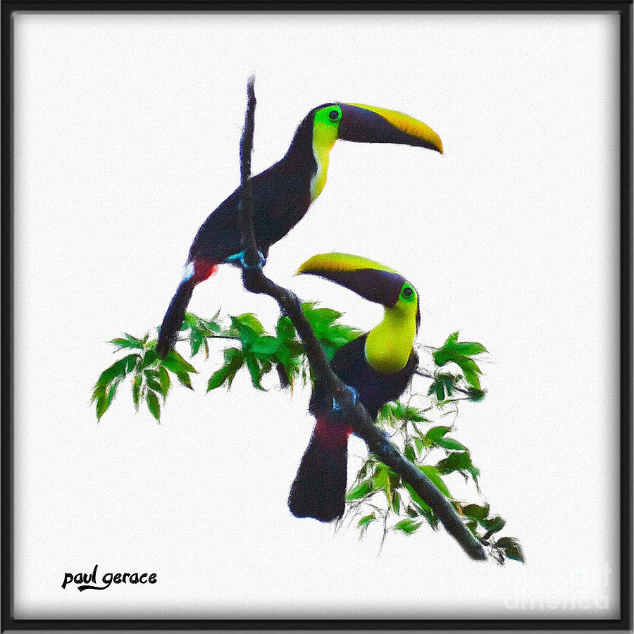 2 Toucans Painted Photograph by Paul Gerace - Fine Art America