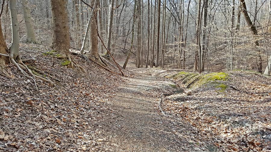 patapsco valley state park mountain biking