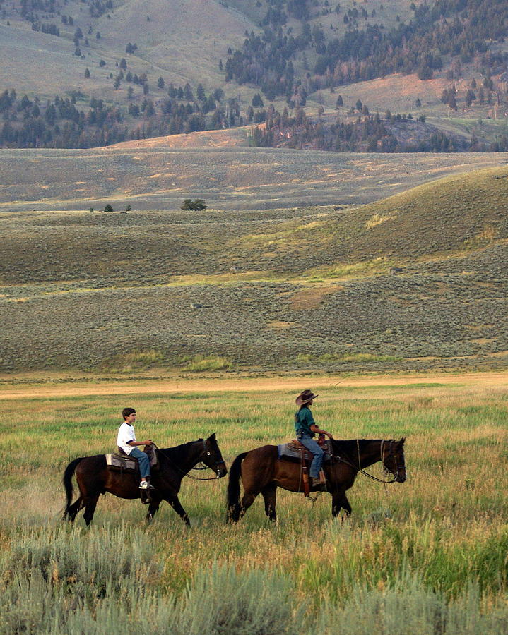 Yellowstone National Park Photograph - Trail Ride #2 by Marty Koch
