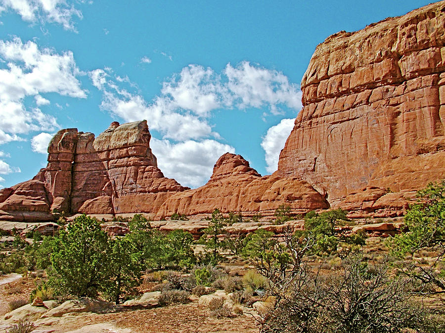 Trail to Chesler Park Viewpoint in  Needles District in Canyonlands National Park, Utah #2 Photograph by Ruth Hager