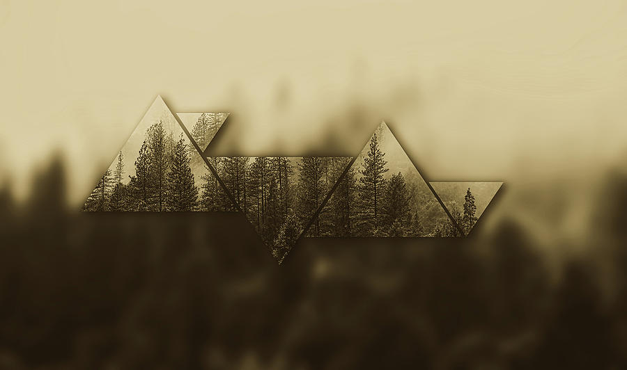 Triangular Beauty #2 Photograph by Mountain Dreams