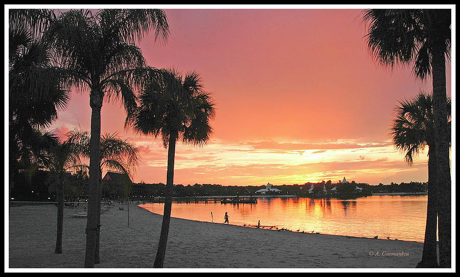 Tropical Beach Sunset with Palm Tree Silhouettes #2 Photograph by A Macarthur Gurmankin