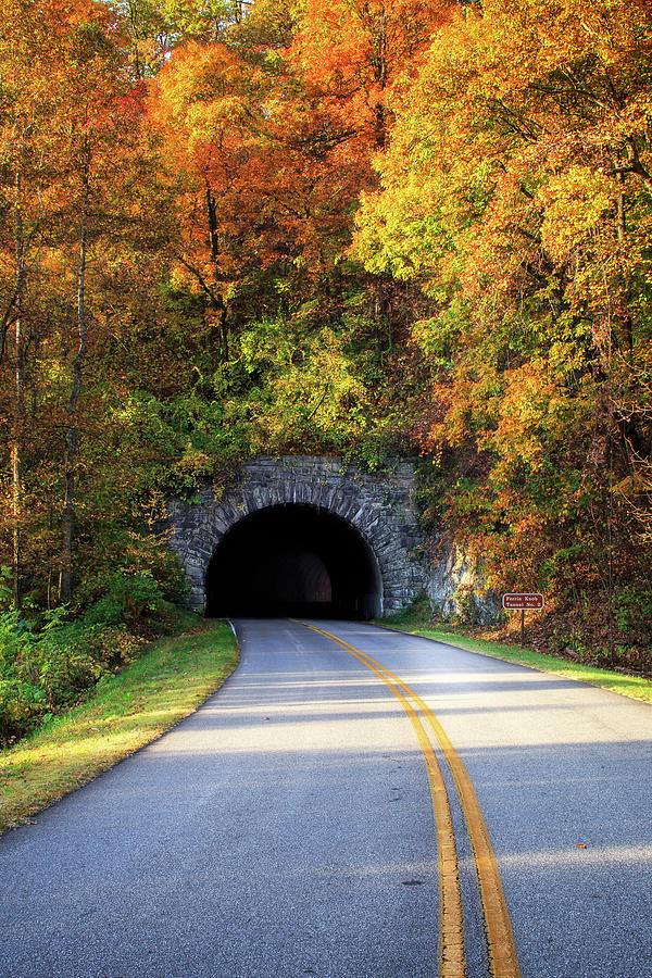 Tunnel Through Autumn #2 Photograph by Paul Malcolm