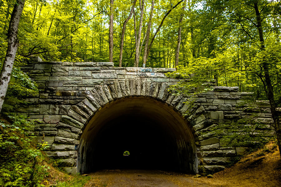 Tunnel To Road To Nowhere At Lakeshore Trailhead Near Lake Fonta #2 Photograph by Alex Grichenko