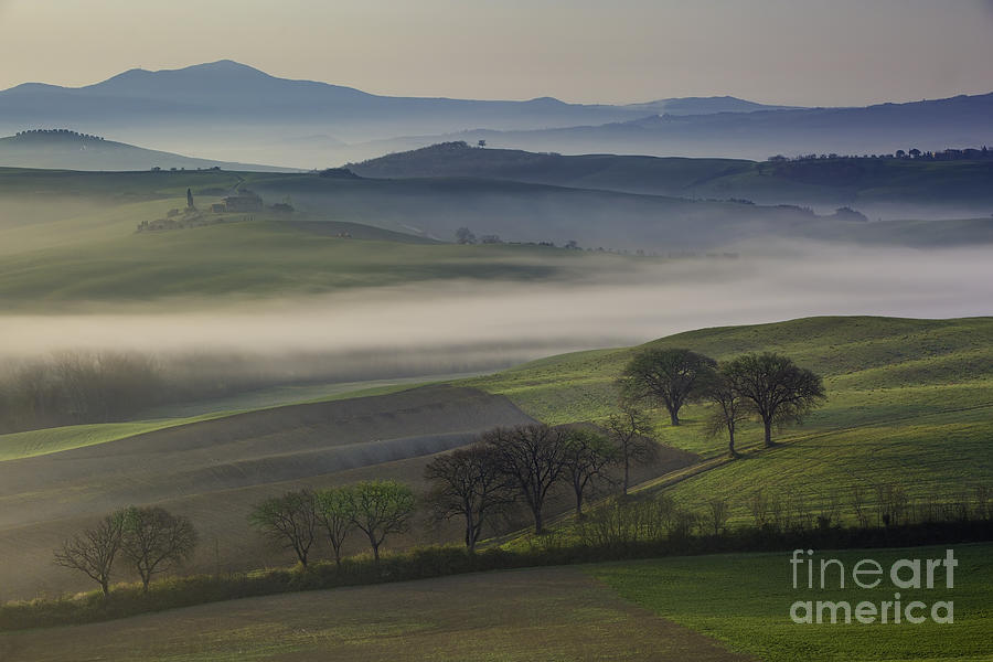 Misty Tuscan Dawn Photograph by Brian Jannsen