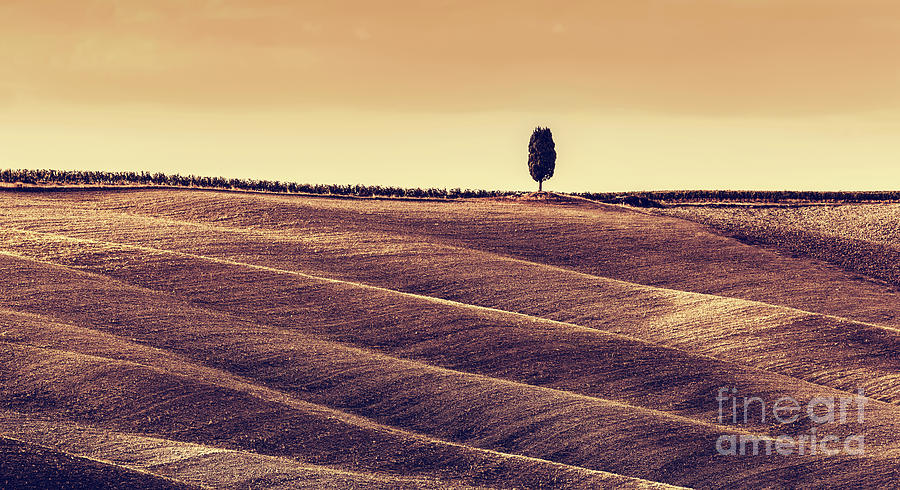 Tuscany fields autumn landscape, panorama, Italy. Harvest season #2 Photograph by Michal Bednarek