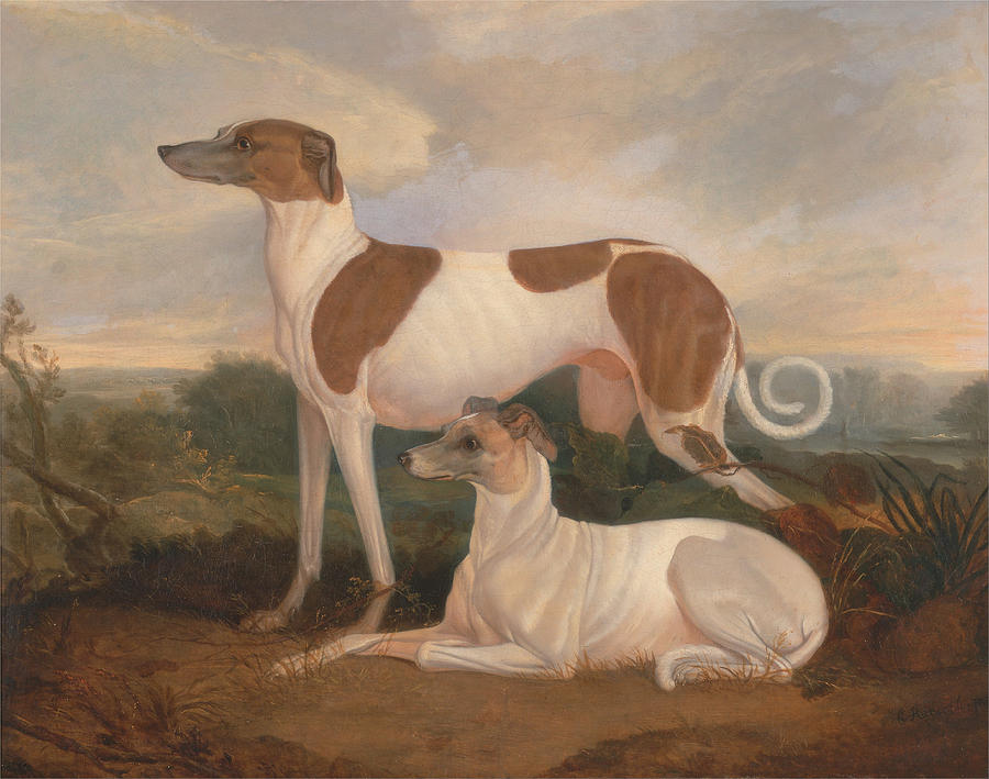 Two Greyhounds in a Landscape #2 Painting by Celestial Images