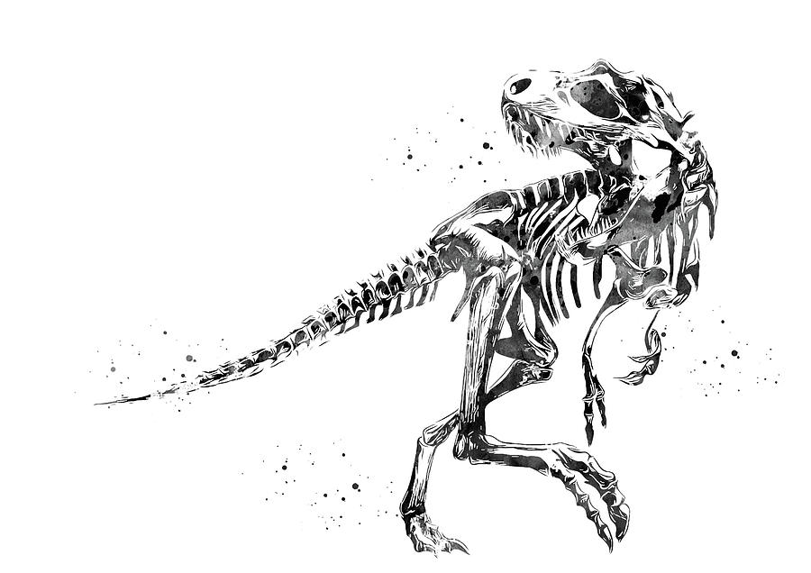 T-rex skeleton on Behance  Skeleton artwork, Skeleton drawings, T-rex art