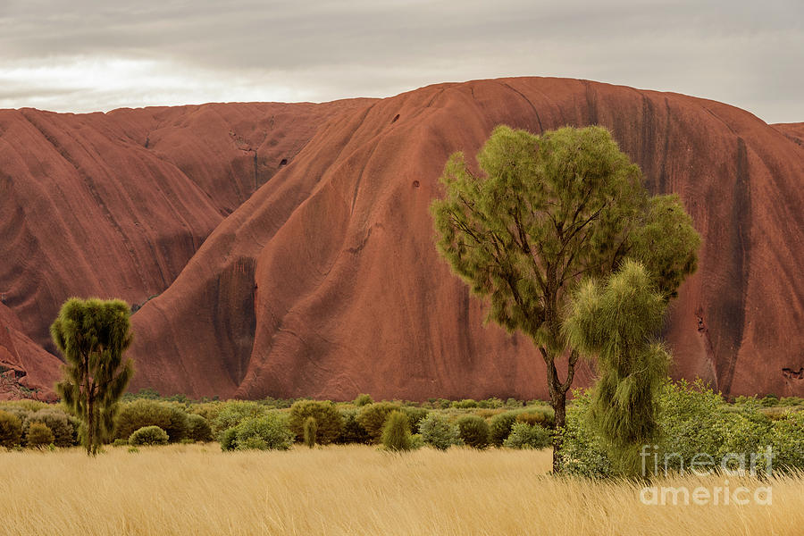 Uluru 08 Photograph by Werner Padarin