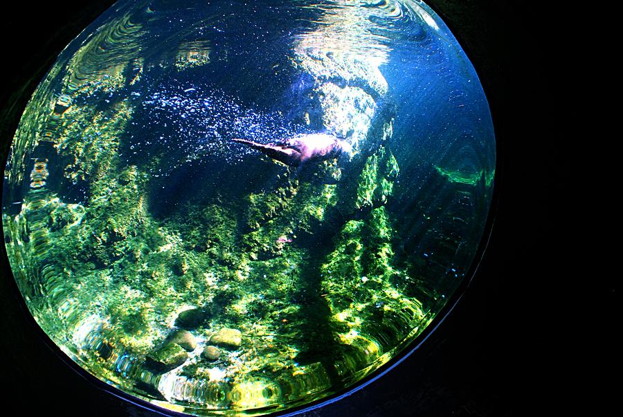 Underwater Vista #2 Photograph by Kenny Glover