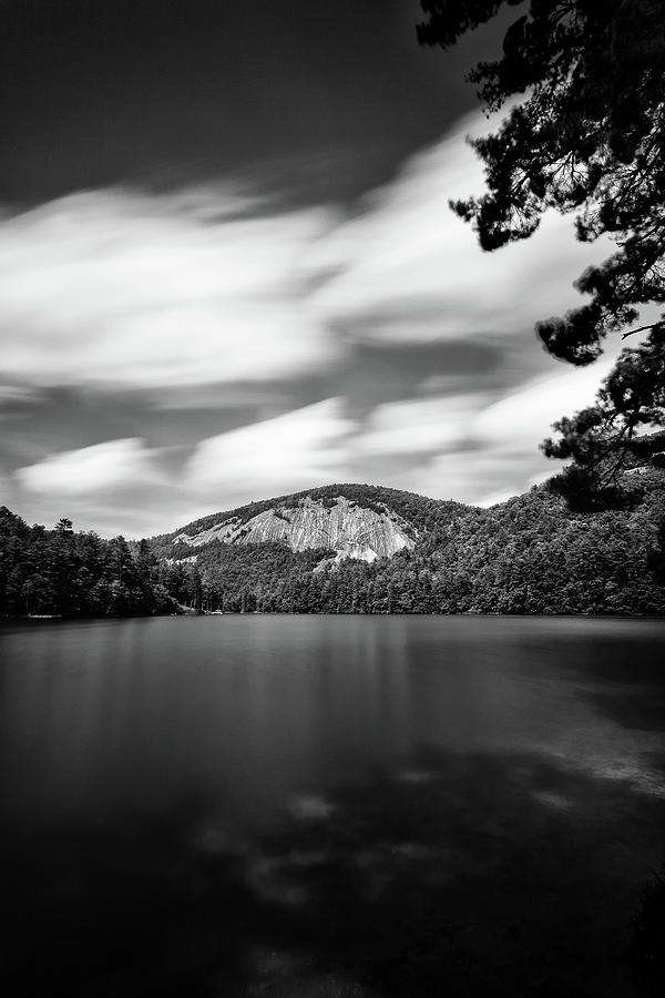 Tree Photograph - Fairfield Lake, Sapphire, North Carolina by Adam Cameron