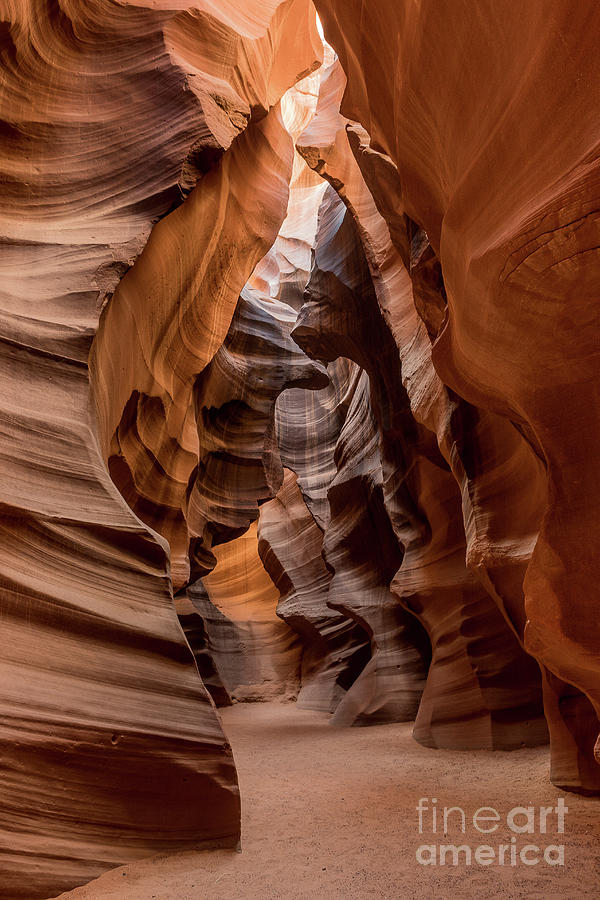 Upper Antelope Canyon Photograph by Craig Shaknis