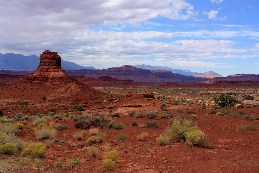 Utah Desert Landscape  #2 Photograph by Aidan Moran