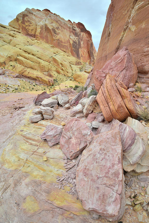 Valley of Fire Back Country #3 Photograph by Ray Mathis