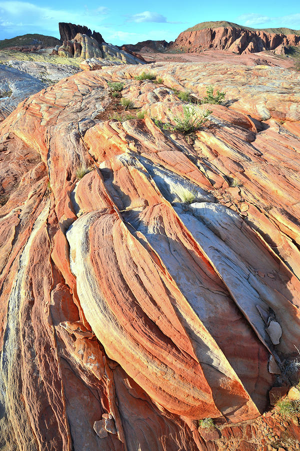 Valley of Fire Sandstone Color #1 Photograph by Ray Mathis