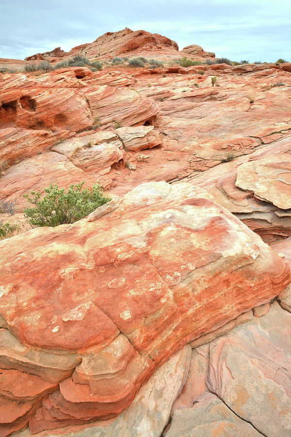 Valley of Fire Sandstone #7 Photograph by Ray Mathis