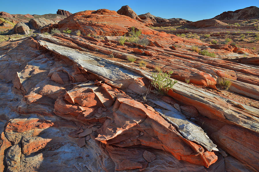 Valley of Fire State Park #4 Photograph by Ray Mathis