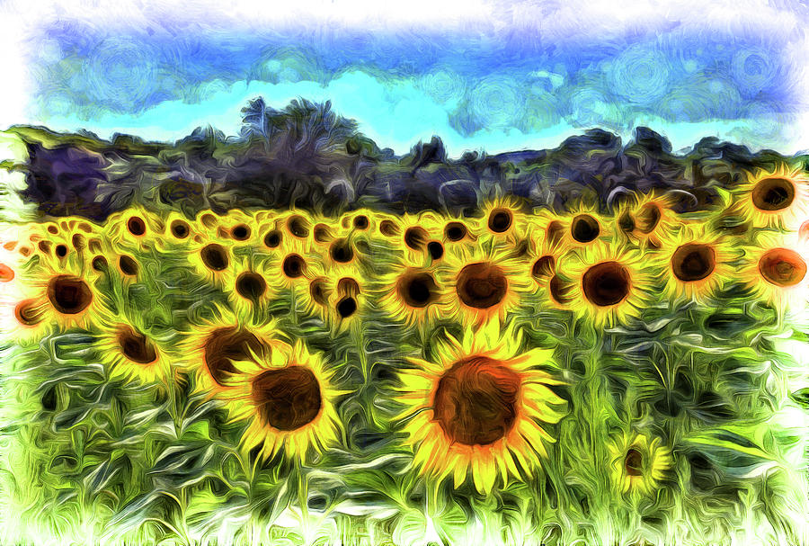 Van Gogh Sunflowers #2 Photograph by David Pyatt