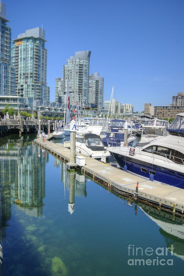 Vancouver Coal Harbour Photograph by David Birchall