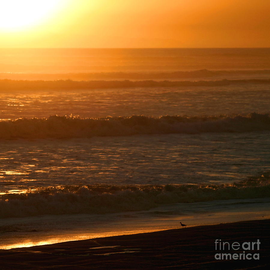 Ventura Sunset #2 Photograph by Henrik Lehnerer