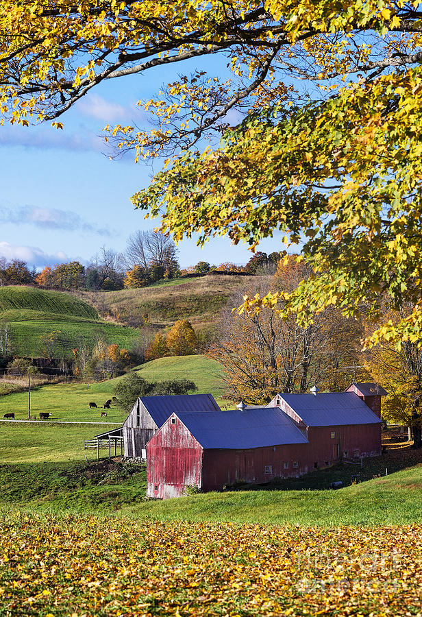 Vermont Farm Photograph by John Greim - Fine Art America