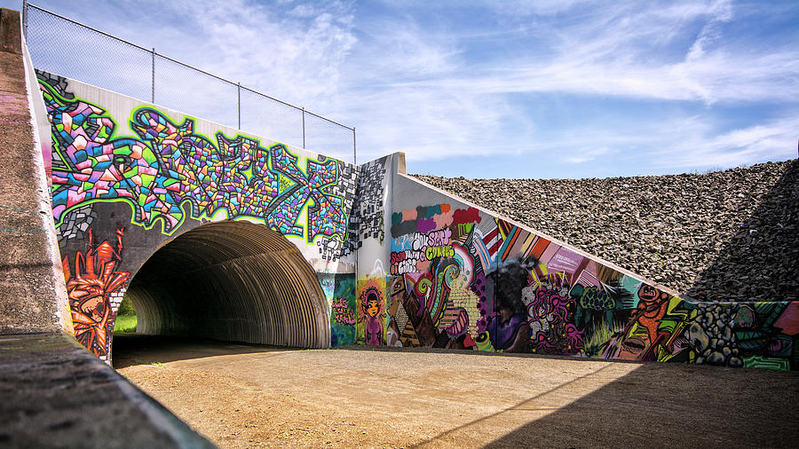 Vernon Underpass Mural 577 Photograph by Phil Cardamone