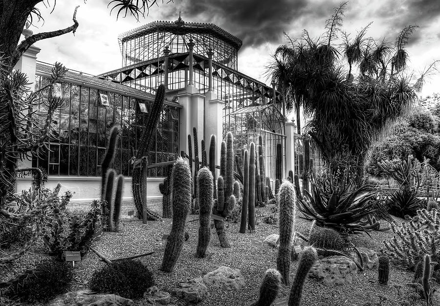 Architecture Photograph - Victorian Palm House #2 by Wayne Sherriff