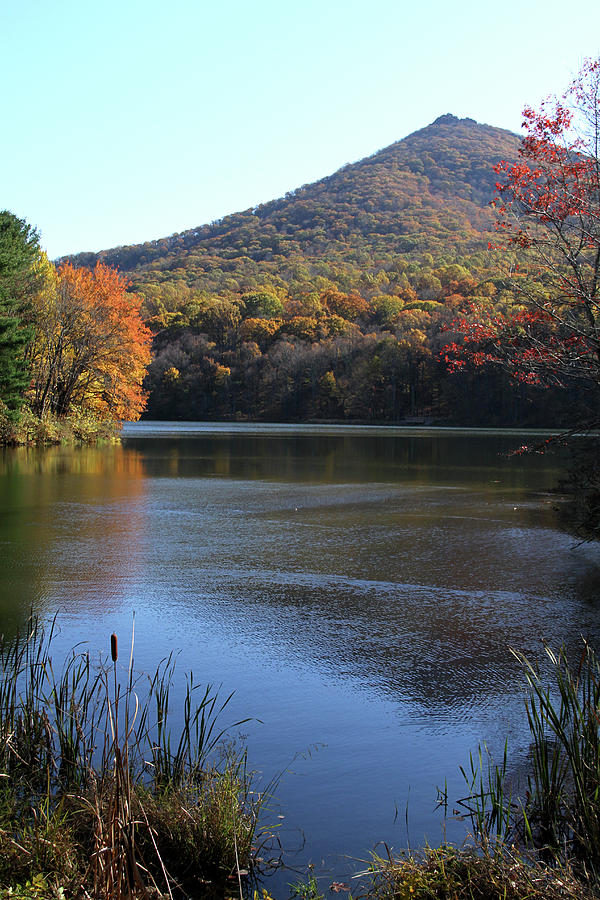 View of Abbott Lake and Sharp Top in autumn #2 Photograph by Emanuel Tanjala