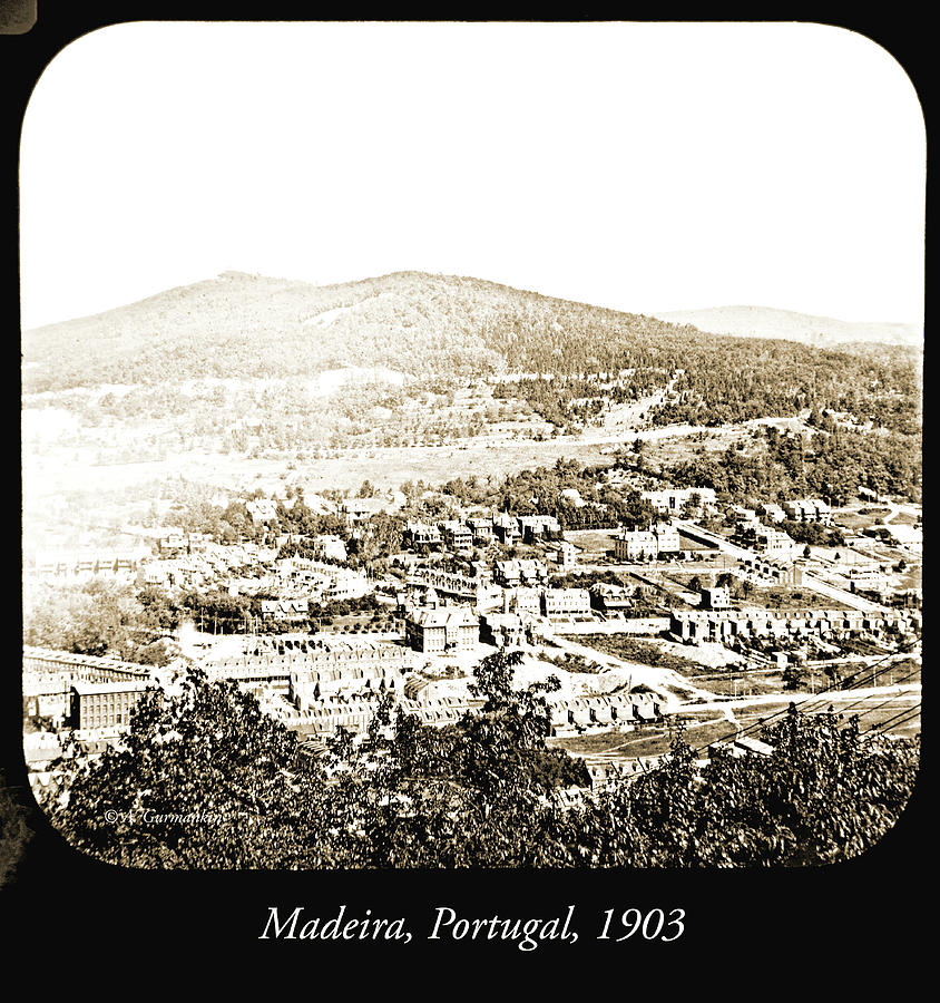 View of Madeira, Portugal, 1903 #2 Photograph by A Macarthur Gurmankin