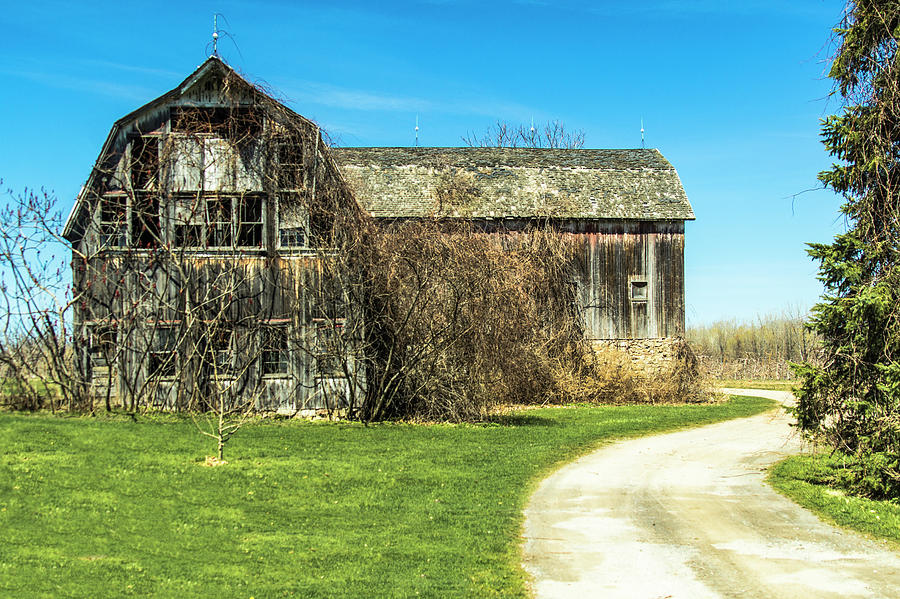 Landscape Photograph - Vintage Barn #2 by Lou Cardinale