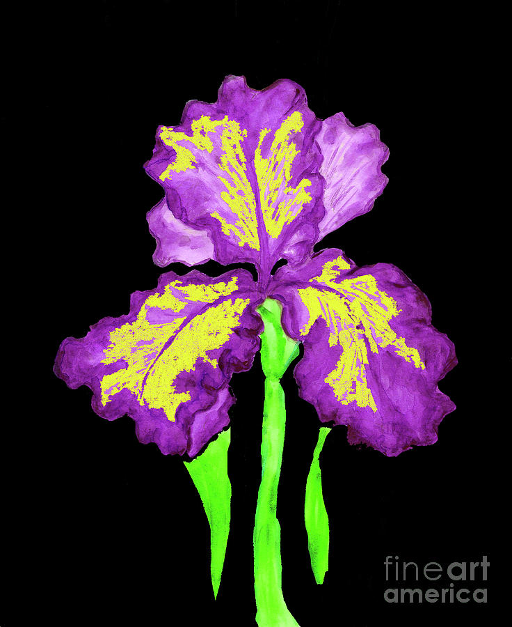 Violet-yellow iris, painting #2 Painting by Irina Afonskaya